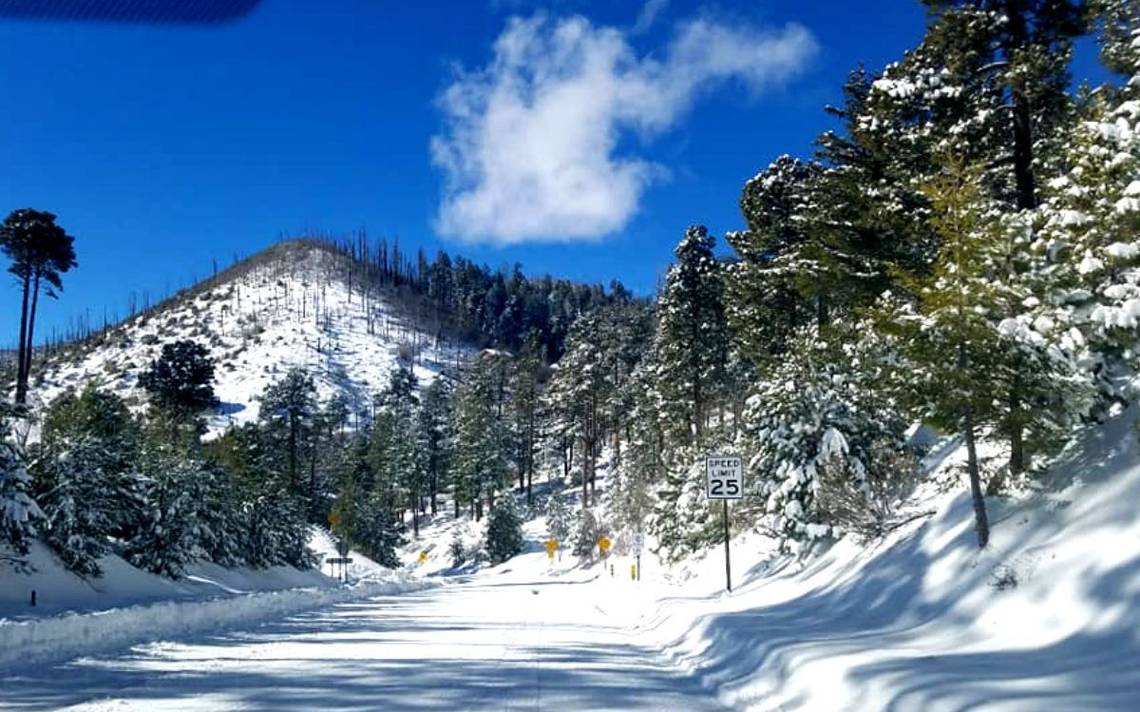 Cae Primera Nevada En Mount Lemmon Y Ya Se Siente El Ambiente Navide O   Mount Lemmon Nevada   Portada